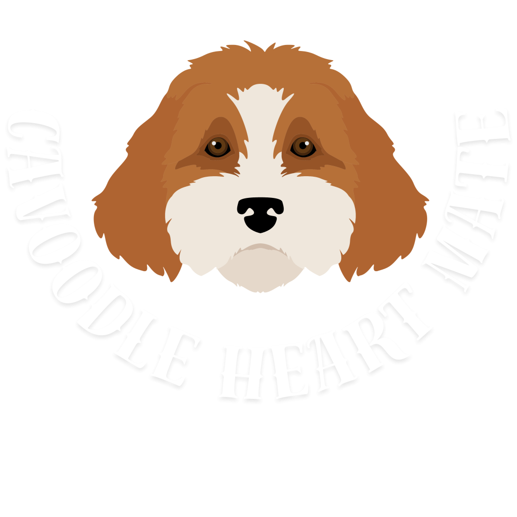 Cavoodle Heartmate Rescue